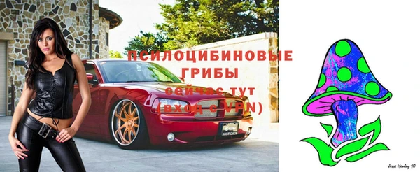 прущие крисы Алексин