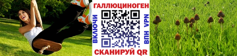 Псилоцибиновые грибы Cubensis  Троицк 